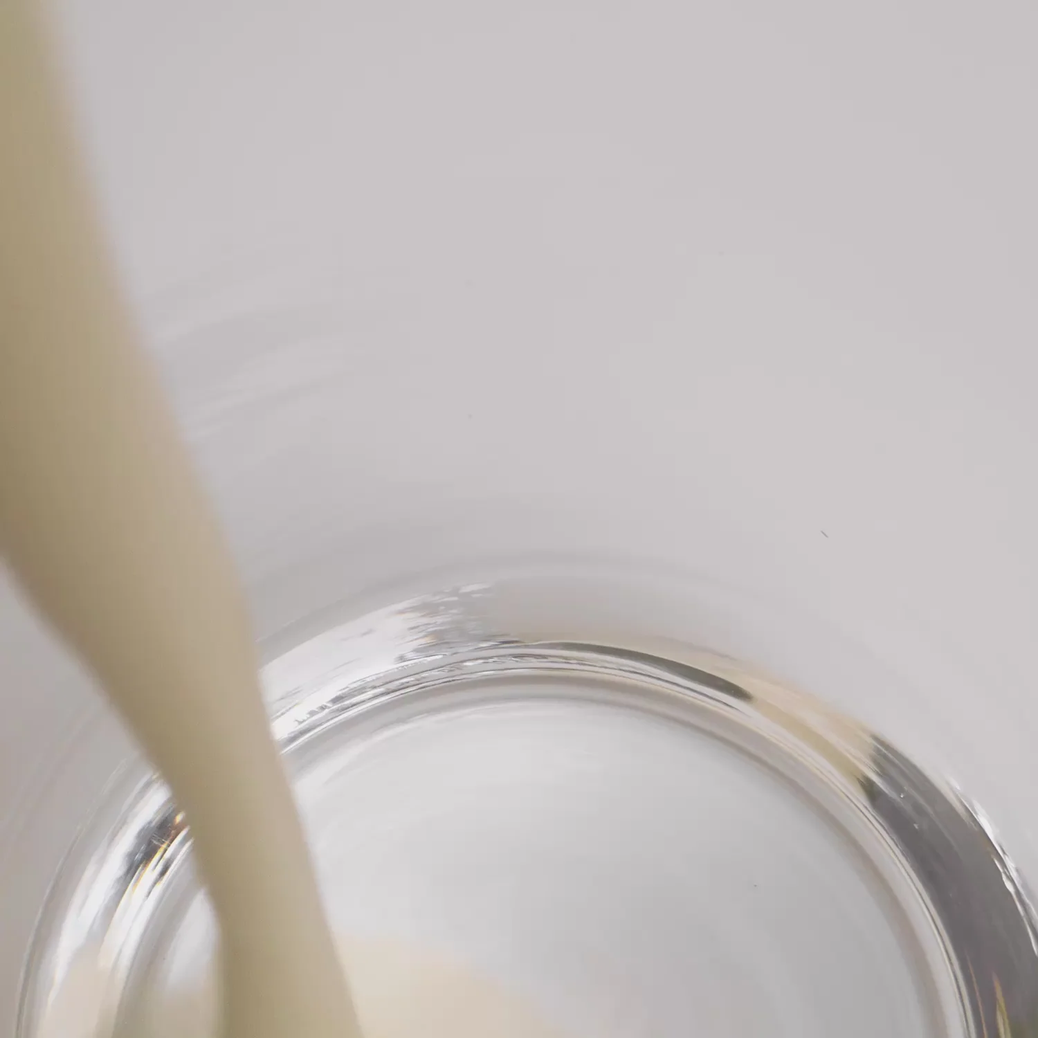 Plant Protein